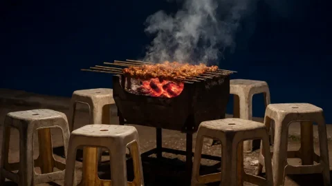 人生一串纪录片 夜色里那些烧烤摊与摊主的故事