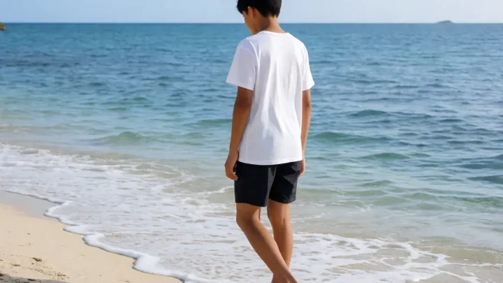 海边的异邦人 动漫里骏与实央隔着一片海慢慢靠近