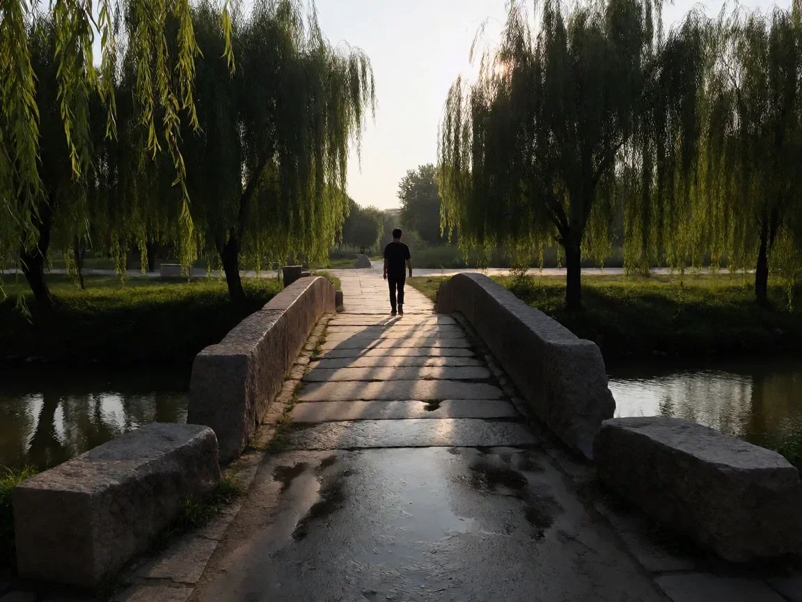 央视纪录片频道 从自然到人文镜头里的中国切片 - 第 3 张图片 央视纪录片频道,长桥夕照的留白
